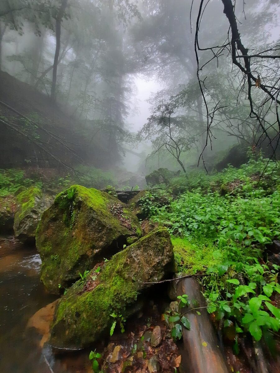 Mtnadzor gorge