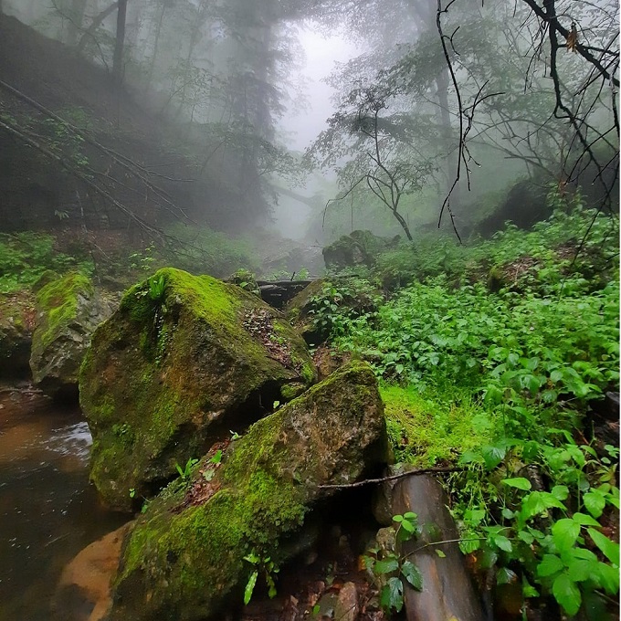 Mtnadzor gorge